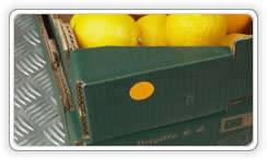 Food labelling :: dayless dots